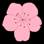 西瓜视频免费APP应用
